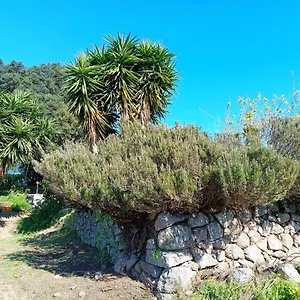 Vinha Do Gaio , Montes de Cima Португалия